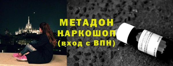 гашик Алексин