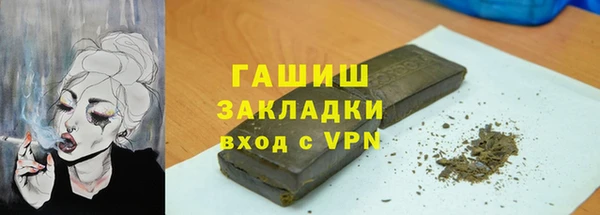 гашик Алексин