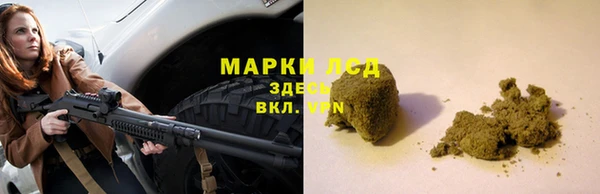 гашик Алексин
