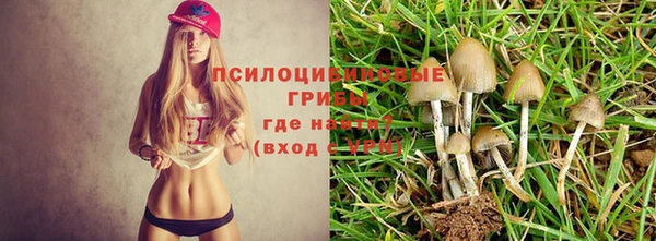 мет Алзамай