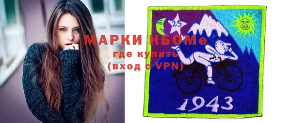 гашик Алексин