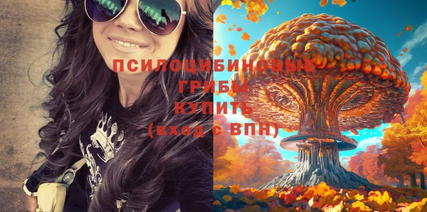 гашик Алексин